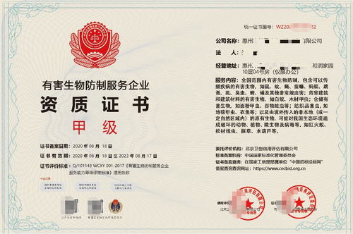 深圳企業信息技術咨詢服務 驅動數字化轉型的智慧引擎