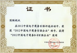北京國聯視訊信息技術股份榮獲“2012中國電子商務百強企業”稱號，引領企業信息技術咨詢服務新浪潮